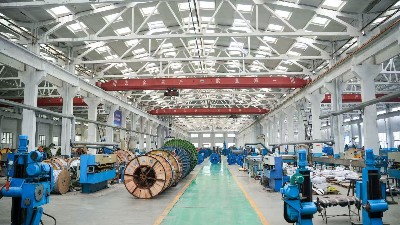 国标铸品质，靠谱电力电缆厂家之选