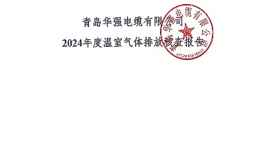 2024年度温室气体排放核查报告