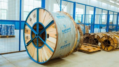 绝缘层里的大学问：解析高低压电缆的关键“防护服”